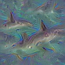 n01494475 hammerhead, hammerhead shark
